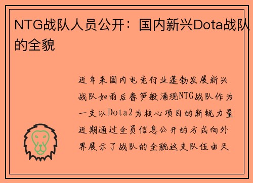 NTG战队人员公开：国内新兴Dota战队的全貌